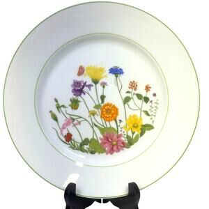 Denby-Langley Retired 1976-1981 'Wonderland' 10 3/8" Dinner Plate-Portugal